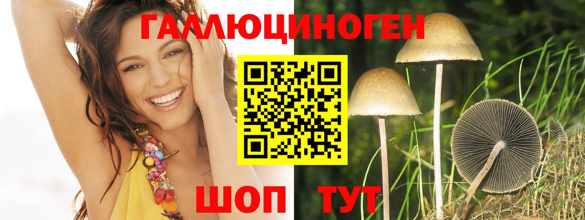 Галлюциногенные грибы мухоморы Нижний Тагил